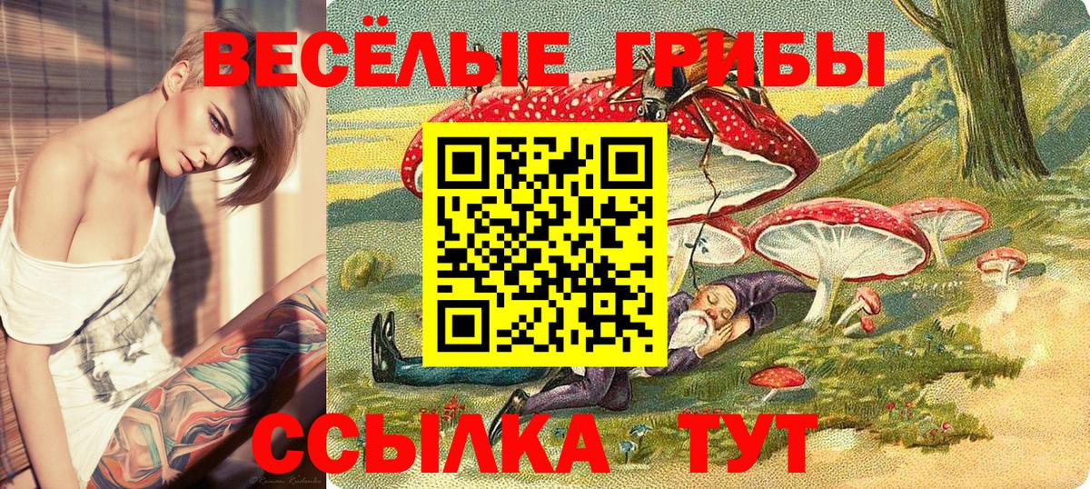 Галлюциногенные грибы Cubensis Прохладный